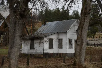 DSC_5857 (Large).JPG